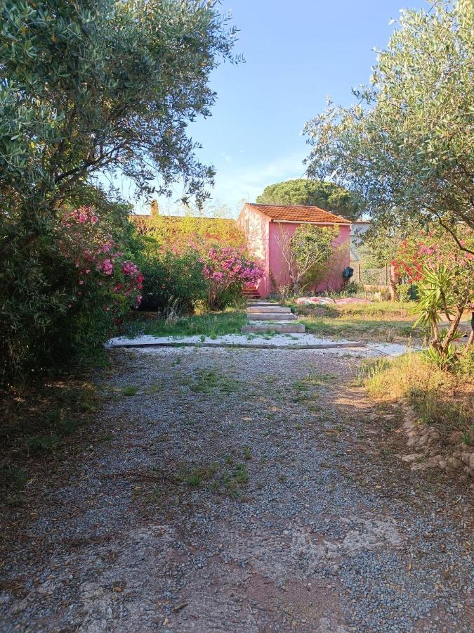 Maison De Vacances, Proche De La Fréjus